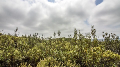 Terreno Agricola ou Rústico para Venda em Alcoutim e Pereiro