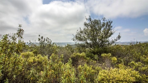 Terreno Agricola ou Rústico para Venda em Alcoutim e Pereiro
