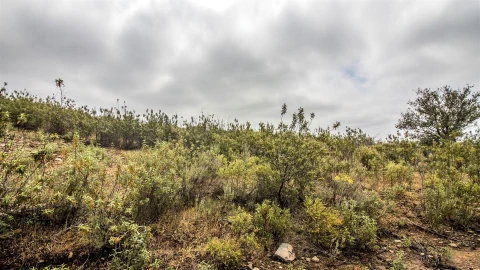 Terreno Agricola ou Rústico para Venda em Alcoutim e Pereiro