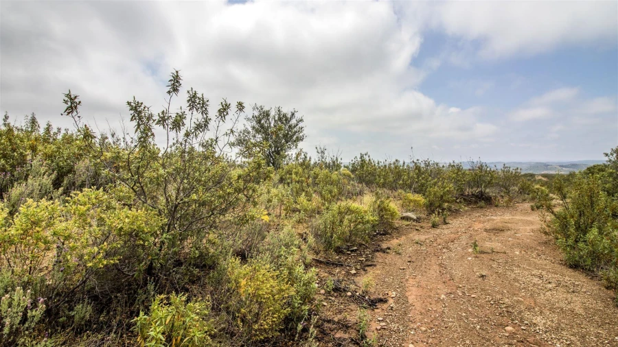 Terreno Agricola ou Rústico para Venda em Alcoutim e Pereiro Foto 3