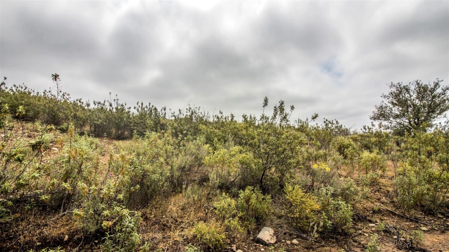 Terreno Agricola ou Rústico para Venda em Alcoutim e Pereiro Foto 2