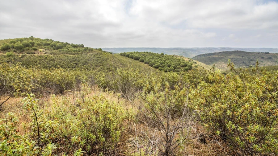 Terreno Agricola ou Rústico para Venda em Alcoutim e Pereiro Foto 7