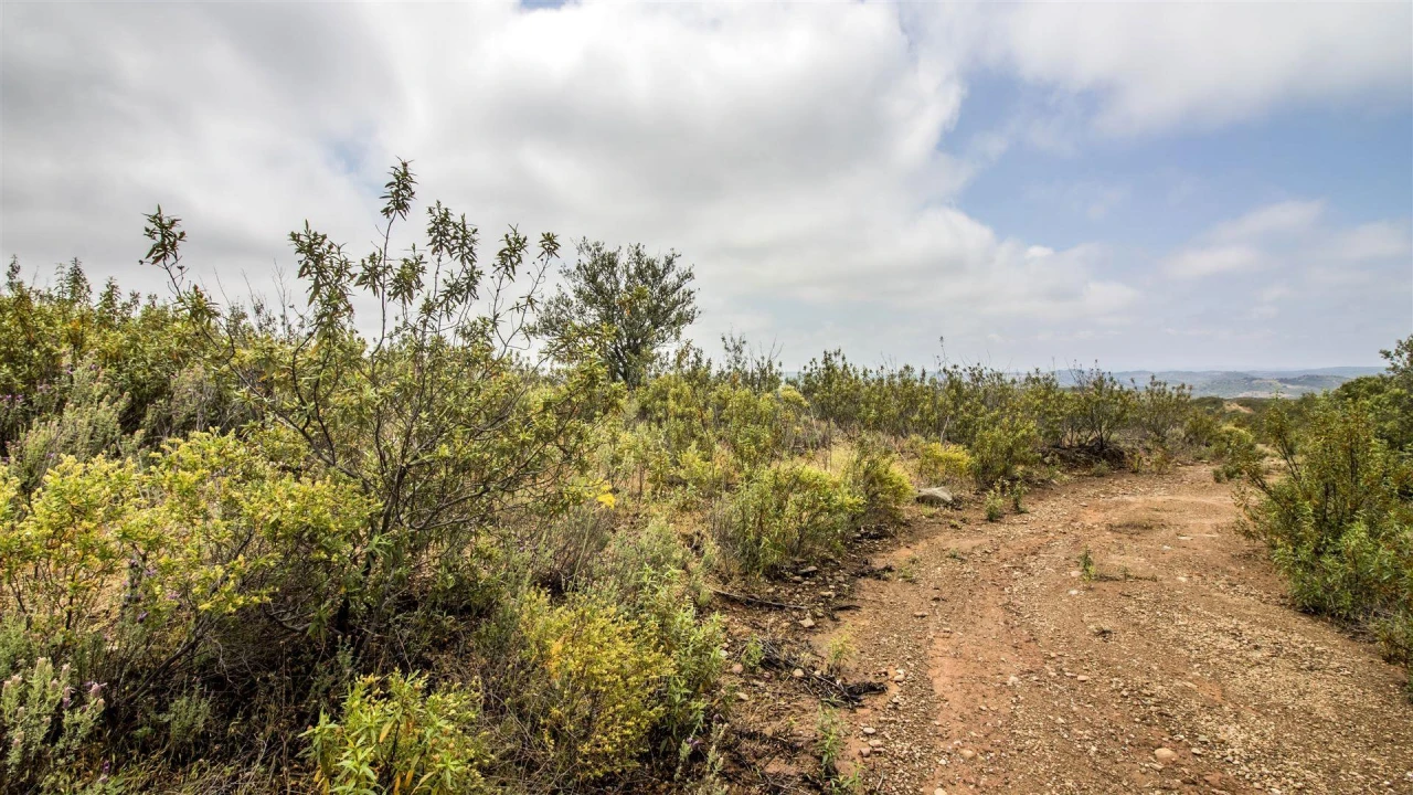 Terreno Agricola ou Rústico para Venda em Alcoutim e Pereiro Foto 3