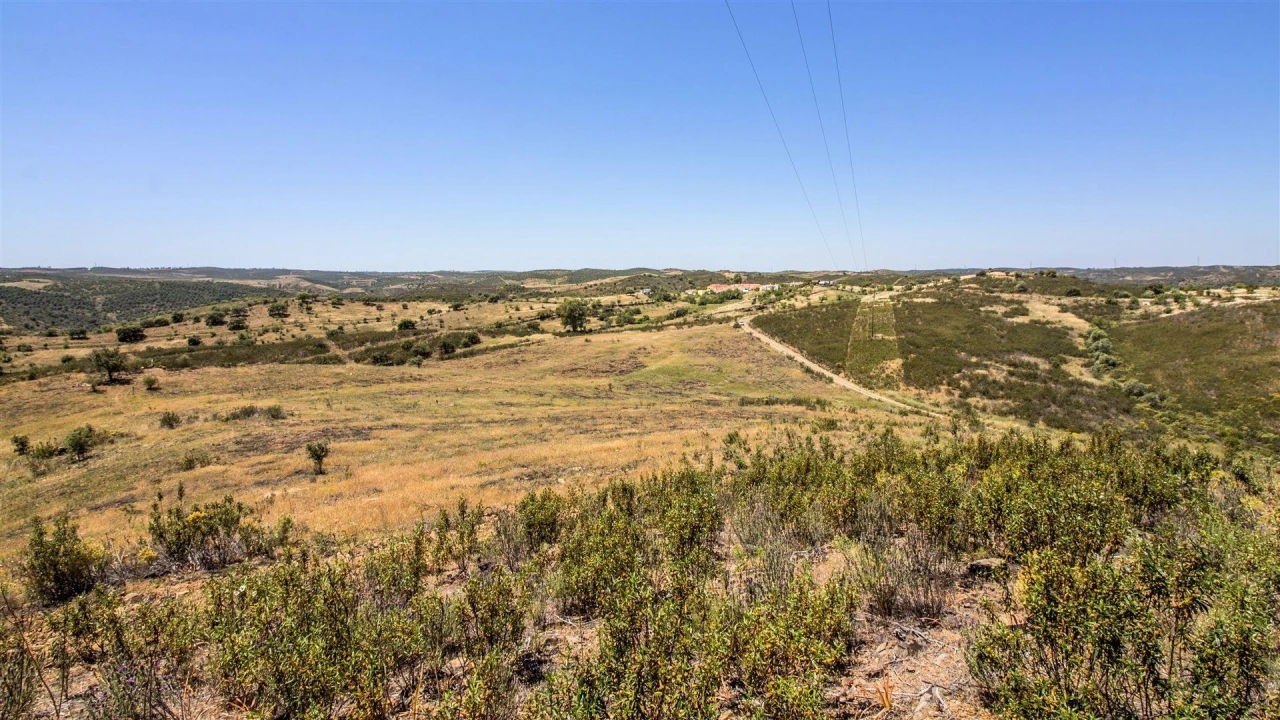 Terreno Agricola ou Rústico para Venda em Alcoutim e Pereiro Foto 5