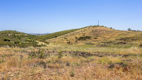 Terreno Agricola ou Rústico para Venda em Alcoutim e Pereiro