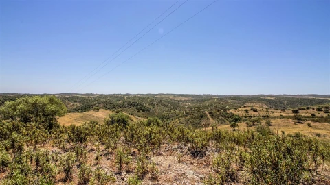Terreno Agricola ou Rústico para Venda em Alcoutim e Pereiro