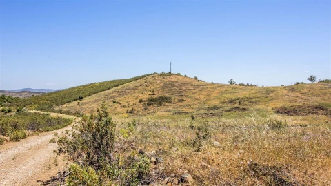 Terreno Agricola ou Rústico para Venda em Alcoutim e Pereiro