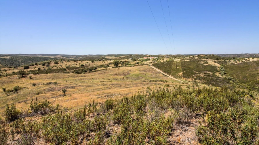 Terreno Agricola ou Rústico para Venda em Alcoutim e Pereiro Foto 5