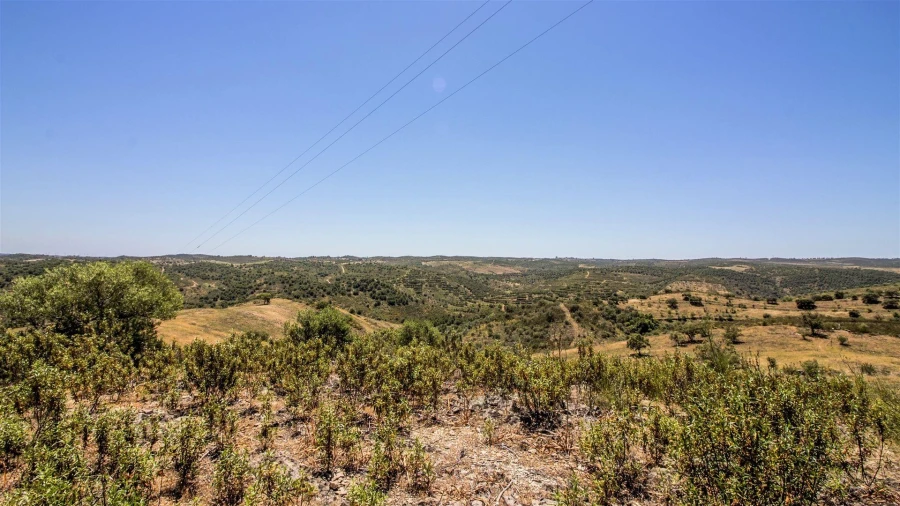 Terreno Agricola ou Rústico para Venda em Alcoutim e Pereiro Foto 4