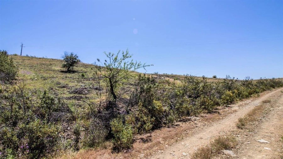 Terreno Agricola ou Rústico para Venda em Alcoutim e Pereiro Foto 3