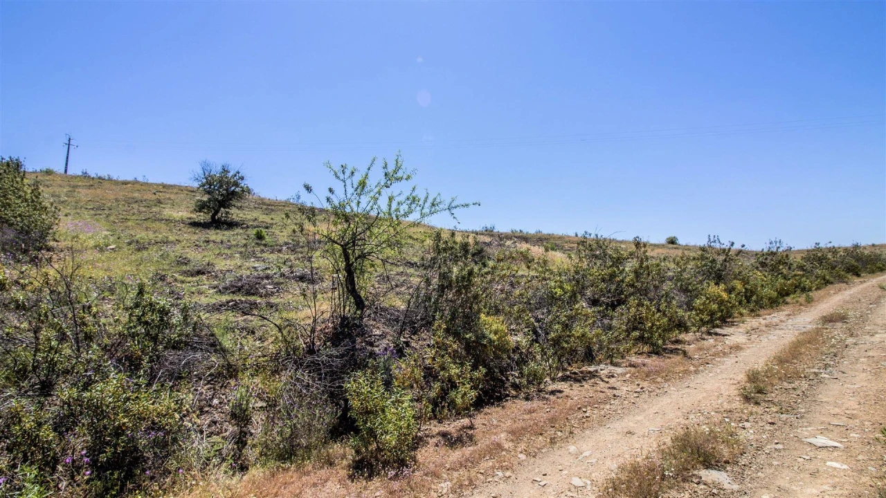 Terreno Agricola ou Rústico para Venda em Alcoutim e Pereiro Foto 3