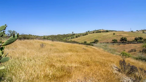 Terreno Agricola ou Rústico para Venda em Alcoutim e Pereiro