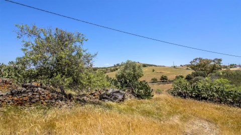 Terreno Agricola ou Rústico para Venda em Alcoutim e Pereiro