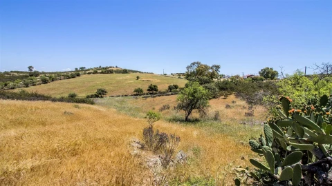 Terreno Agricola ou Rústico para Venda em Alcoutim e Pereiro