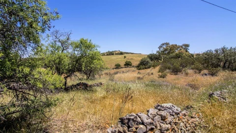 Terreno Agricola ou Rústico para Venda em Alcoutim e Pereiro