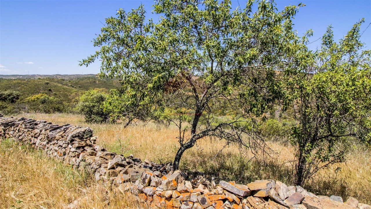 Terreno Agricola ou Rústico para Venda em Alcoutim e Pereiro Foto 5