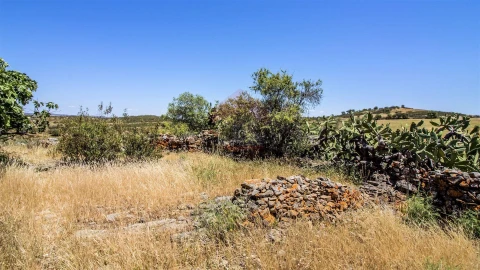 Terreno Agricola ou Rústico para Venda em Alcoutim e Pereiro