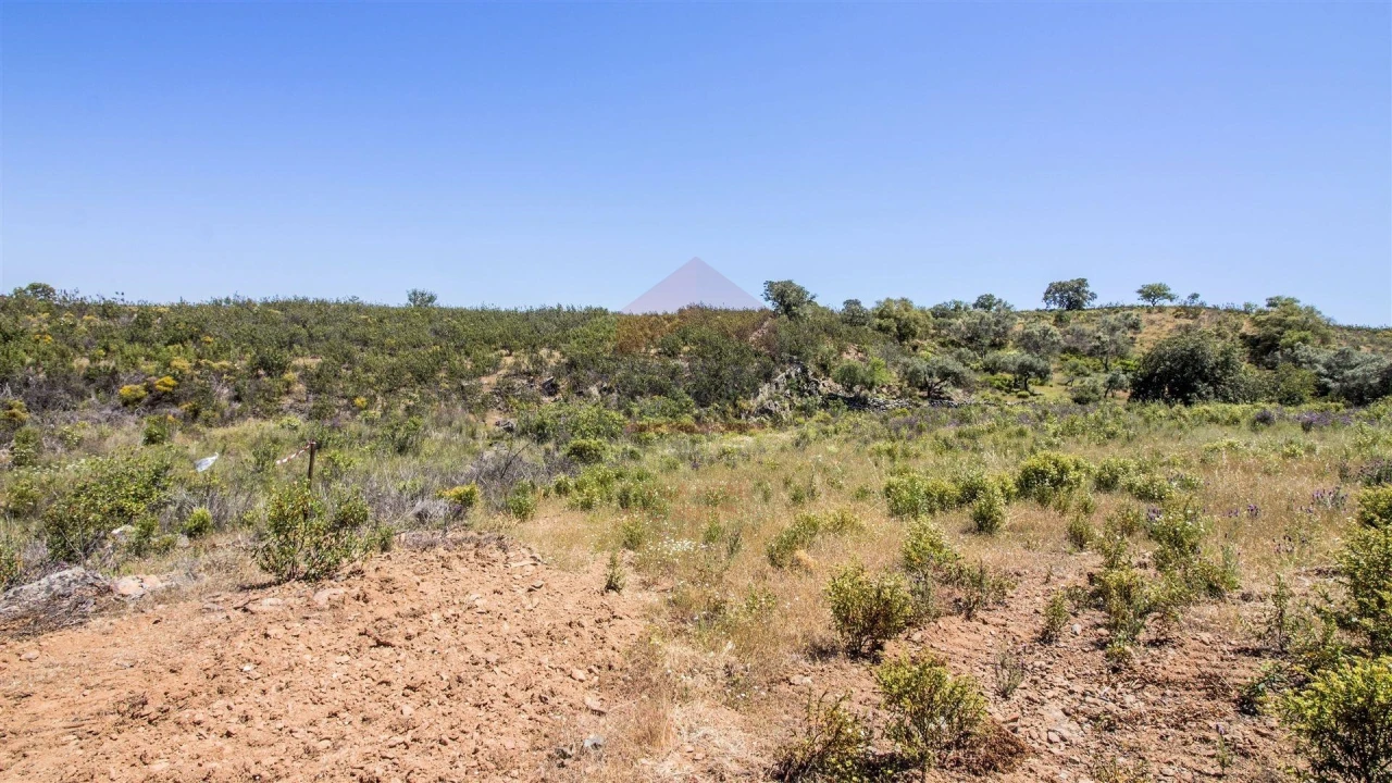 Terreno Agricola ou Rústico para Venda em Alcoutim e Pereiro Foto 3