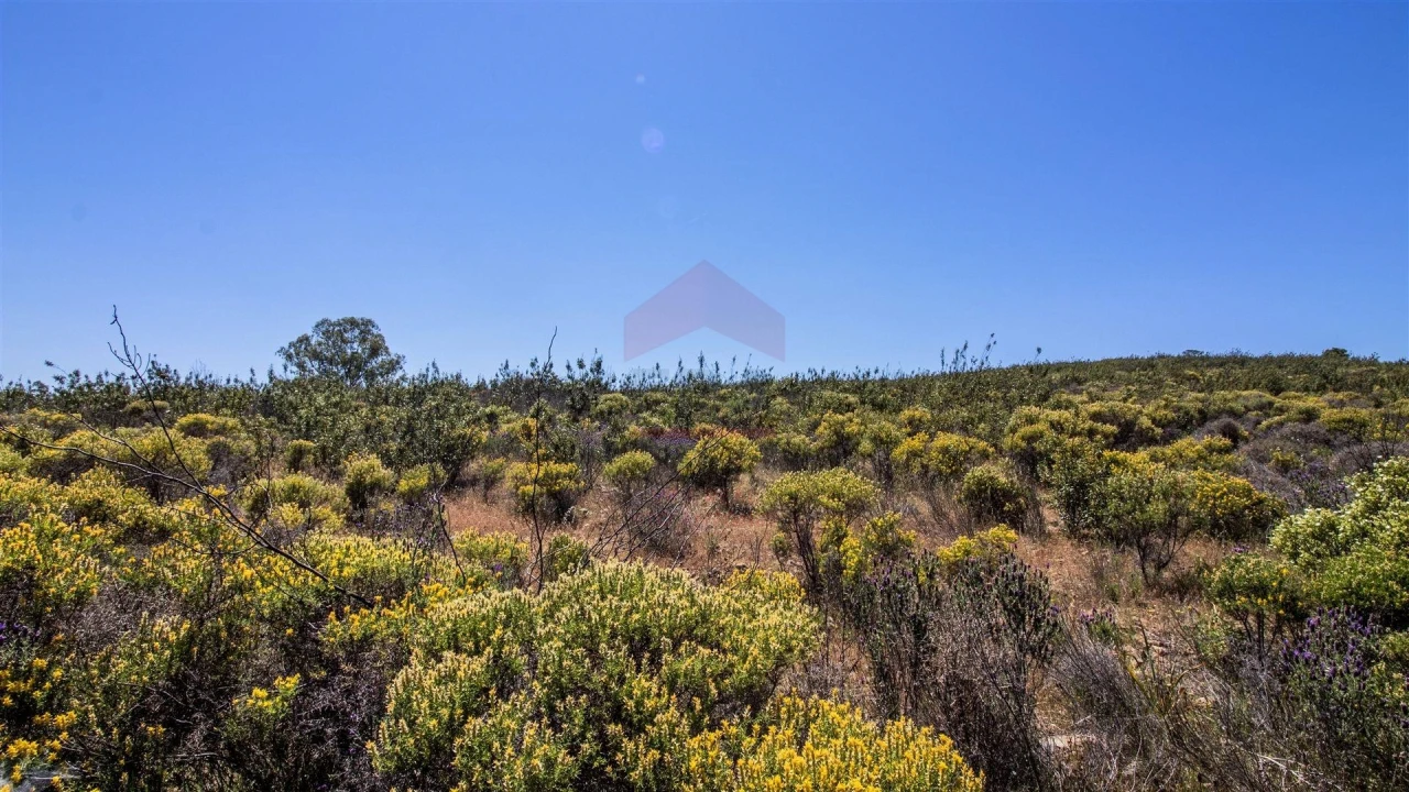 Terreno Agricola ou Rústico para Venda em Alcoutim e Pereiro Foto 4