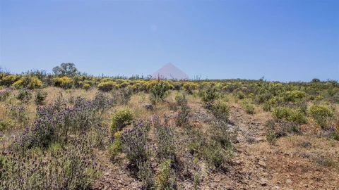 Terreno Agricola ou Rústico para Venda em Alcoutim e Pereiro