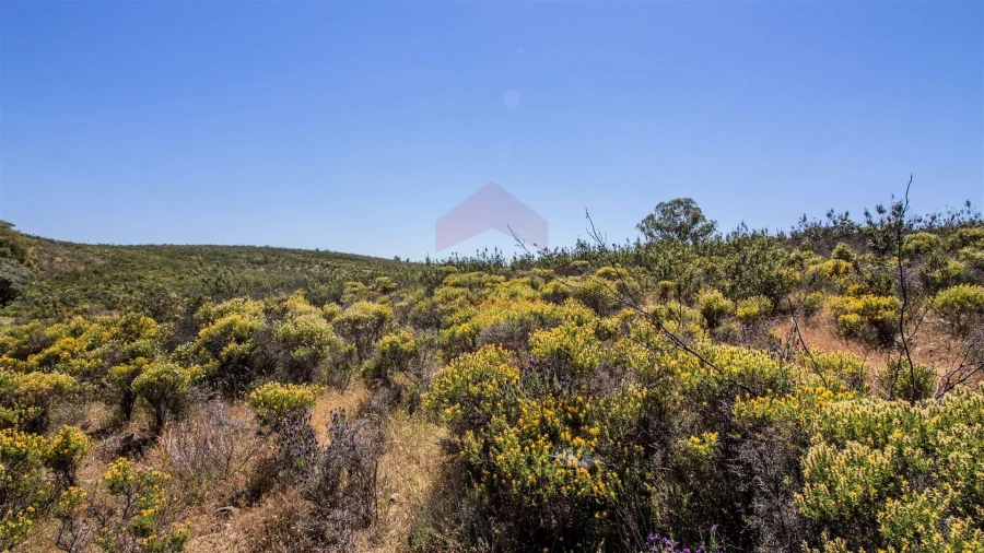 Terreno Agricola ou Rústico para Venda em Alcoutim e Pereiro Foto 5