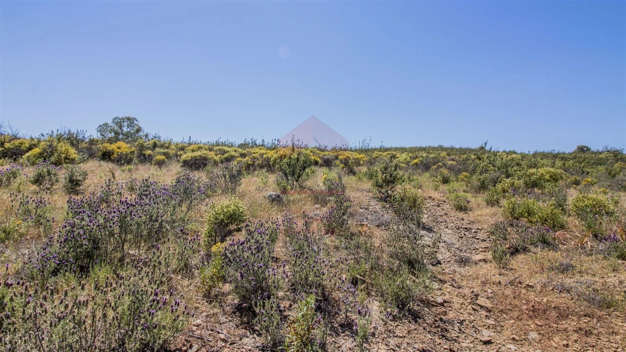 Terreno Agricola ou Rústico para Venda em Alcoutim e Pereiro Foto 2