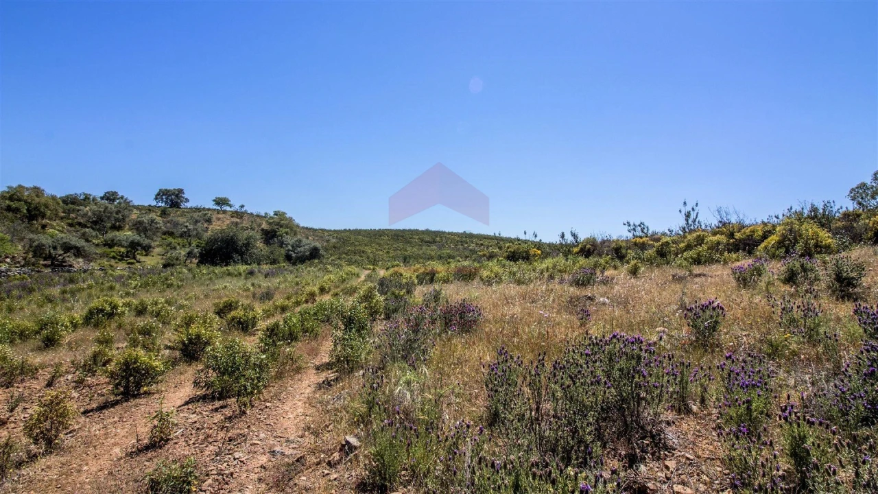 Terreno Agricola ou Rústico para Venda em Alcoutim e Pereiro Foto 1