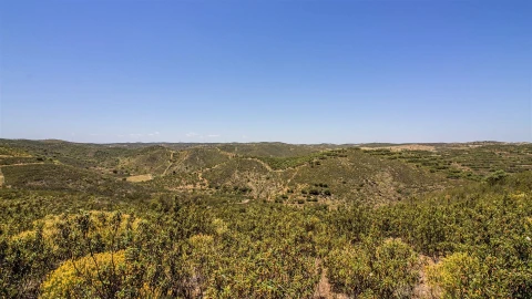 Terreno Agricola ou Rústico para Venda em Alcoutim e Pereiro
