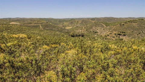 Terreno Agricola ou Rústico para Venda em Alcoutim e Pereiro