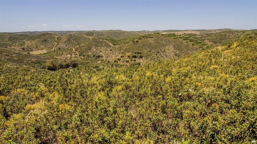 Terreno Agricola ou Rústico para Venda em Alcoutim e Pereiro Foto 3