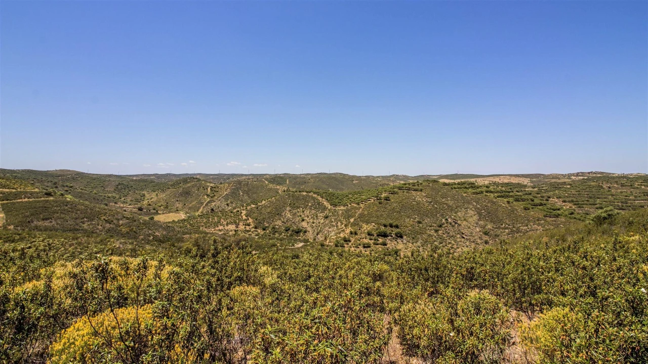Terreno Agricola ou Rústico para Venda em Alcoutim e Pereiro Foto 1