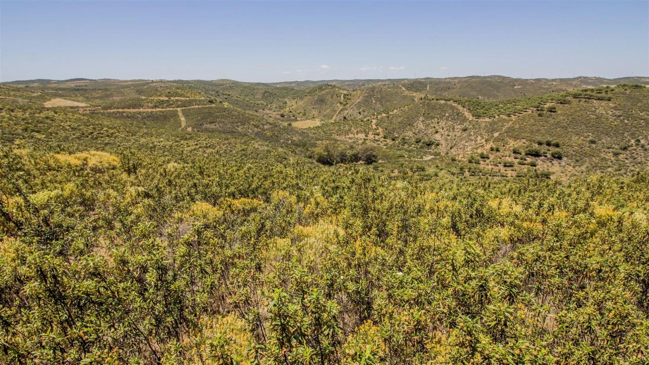 Terreno Agricola ou Rústico para Venda em Alcoutim e Pereiro Foto 4