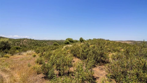 Terreno Agricola ou Rústico para Venda em Alcoutim e Pereiro