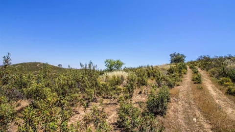 Terreno Agricola ou Rústico para Venda em Alcoutim e Pereiro