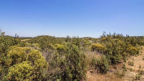 Terreno Agricola ou Rústico para Venda em Alcoutim e Pereiro