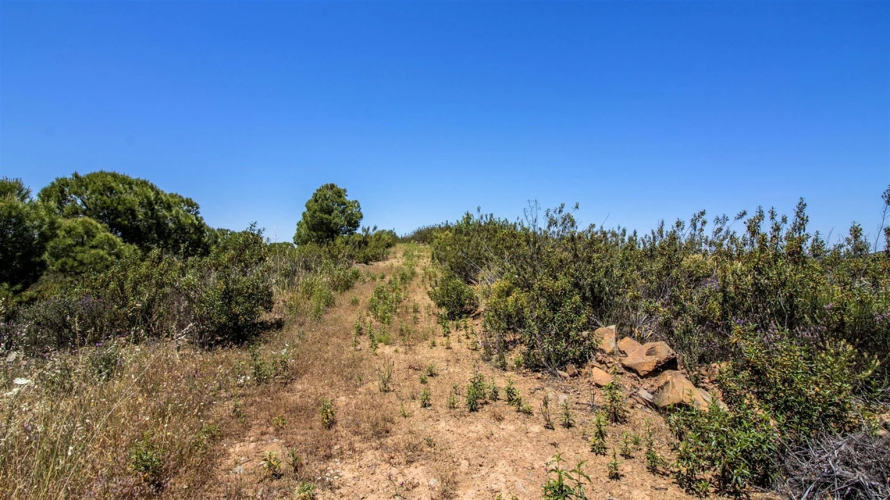 Terreno Agricola ou Rústico para Venda em Alcoutim e Pereiro Foto 4