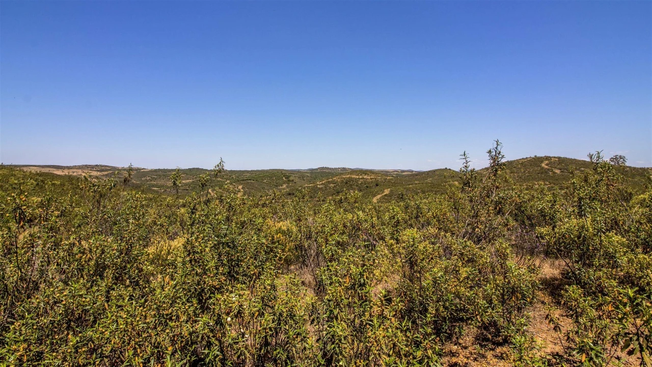 Terreno Agricola ou Rústico para Venda em Alcoutim e Pereiro Foto 1