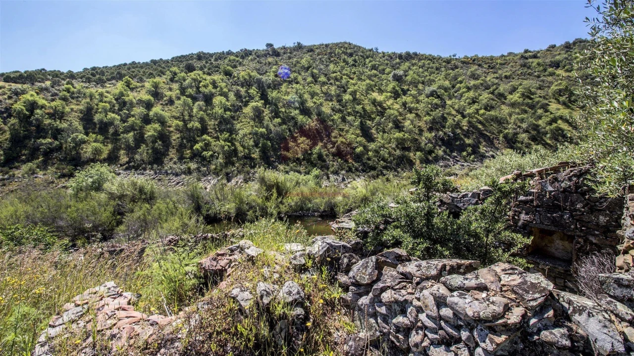 Terreno para Venda em Alcoutim e Pereiro Foto 1