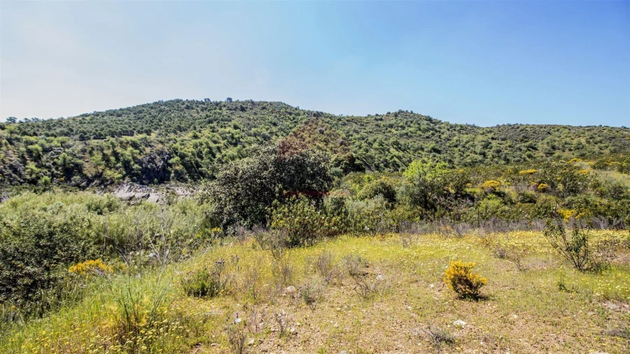 Terreno para Venda em Alcoutim e Pereiro Foto 3