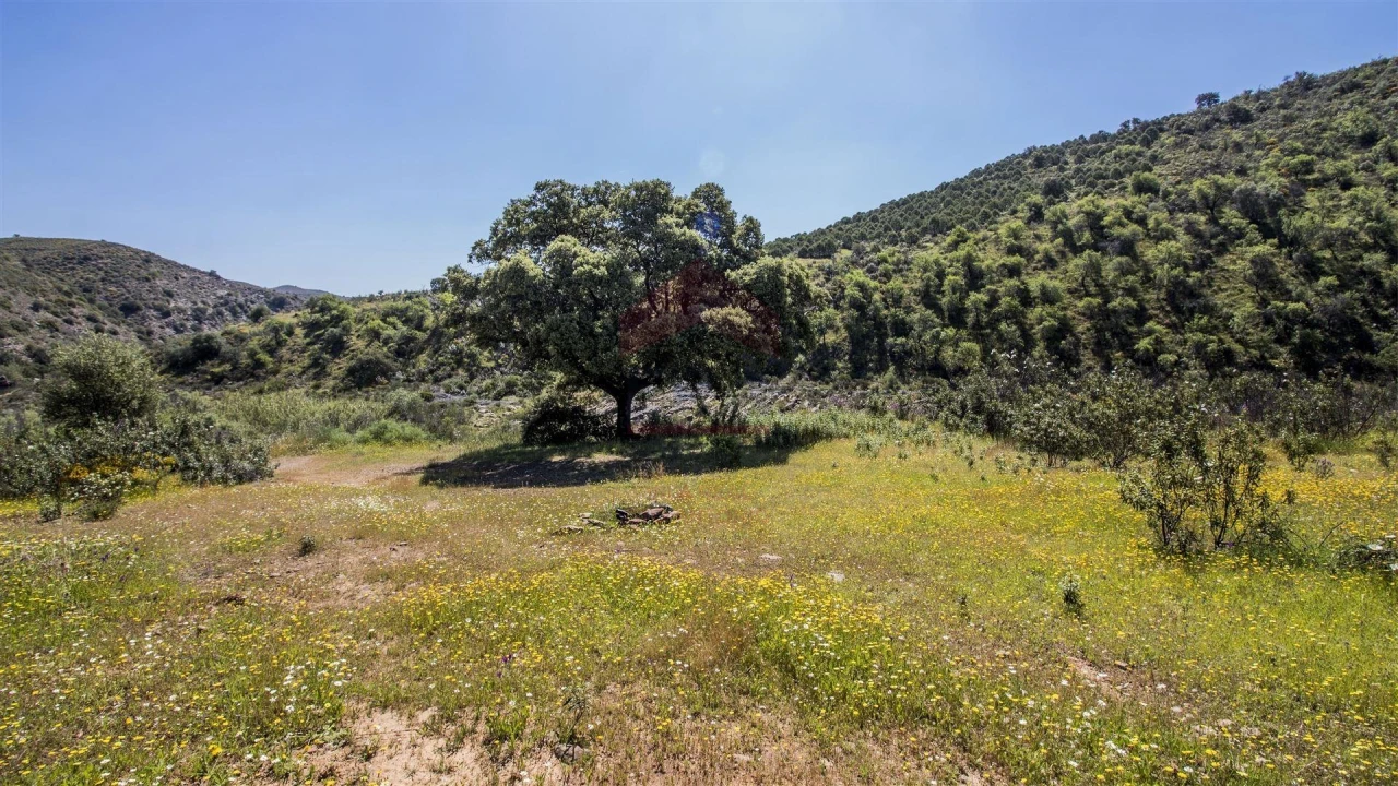 Terreno para Venda em Alcoutim e Pereiro Foto 2