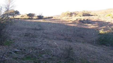 Terreno Agricola ou Rústico para Venda em Alcoutim e Pereiro