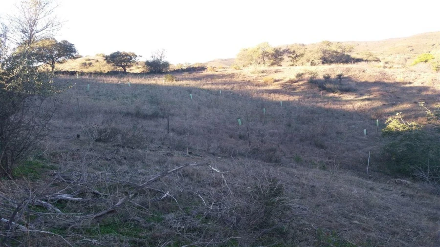 Terreno Agricola ou Rústico para Venda em Alcoutim e Pereiro Foto 4