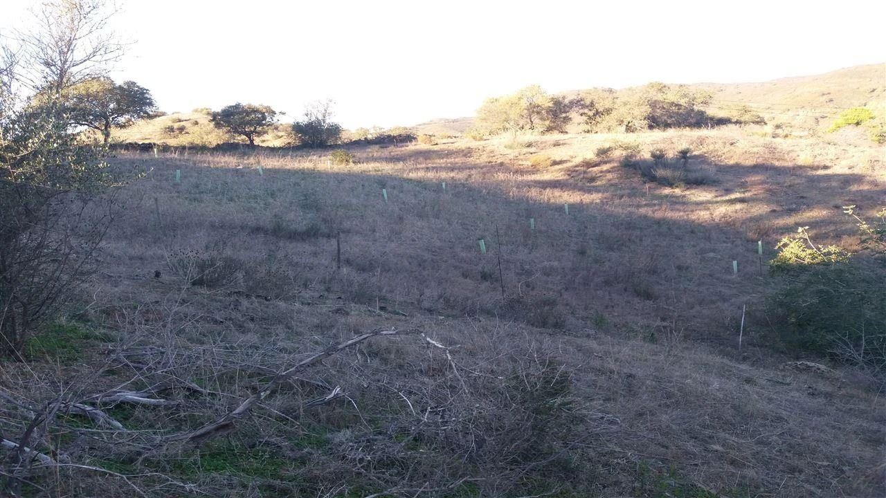 Terreno Agricola ou Rústico para Venda em Alcoutim e Pereiro Foto 4