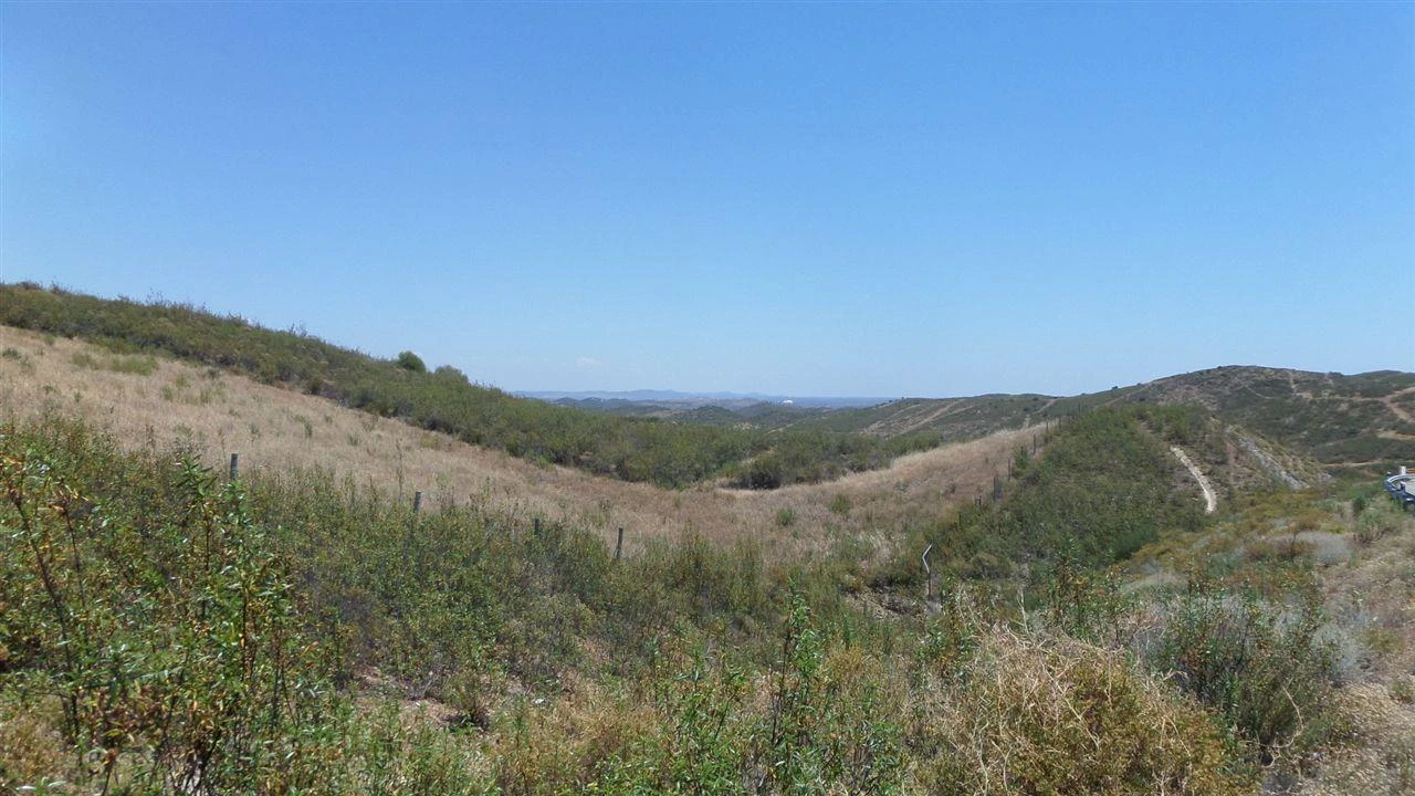 Terreno Agricola ou Rústico para Venda em Alcoutim e Pereiro Foto 1