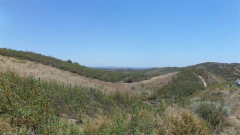 Terreno Agricola ou Rústico para Venda em Alcoutim e Pereiro