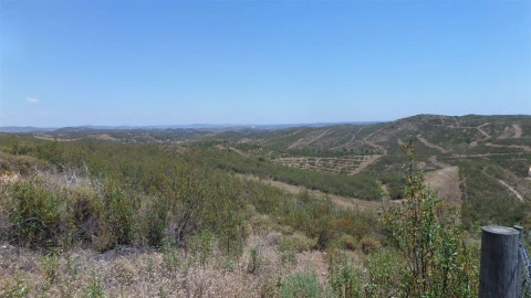 Terreno Agricola ou Rústico para Venda em Alcoutim e Pereiro