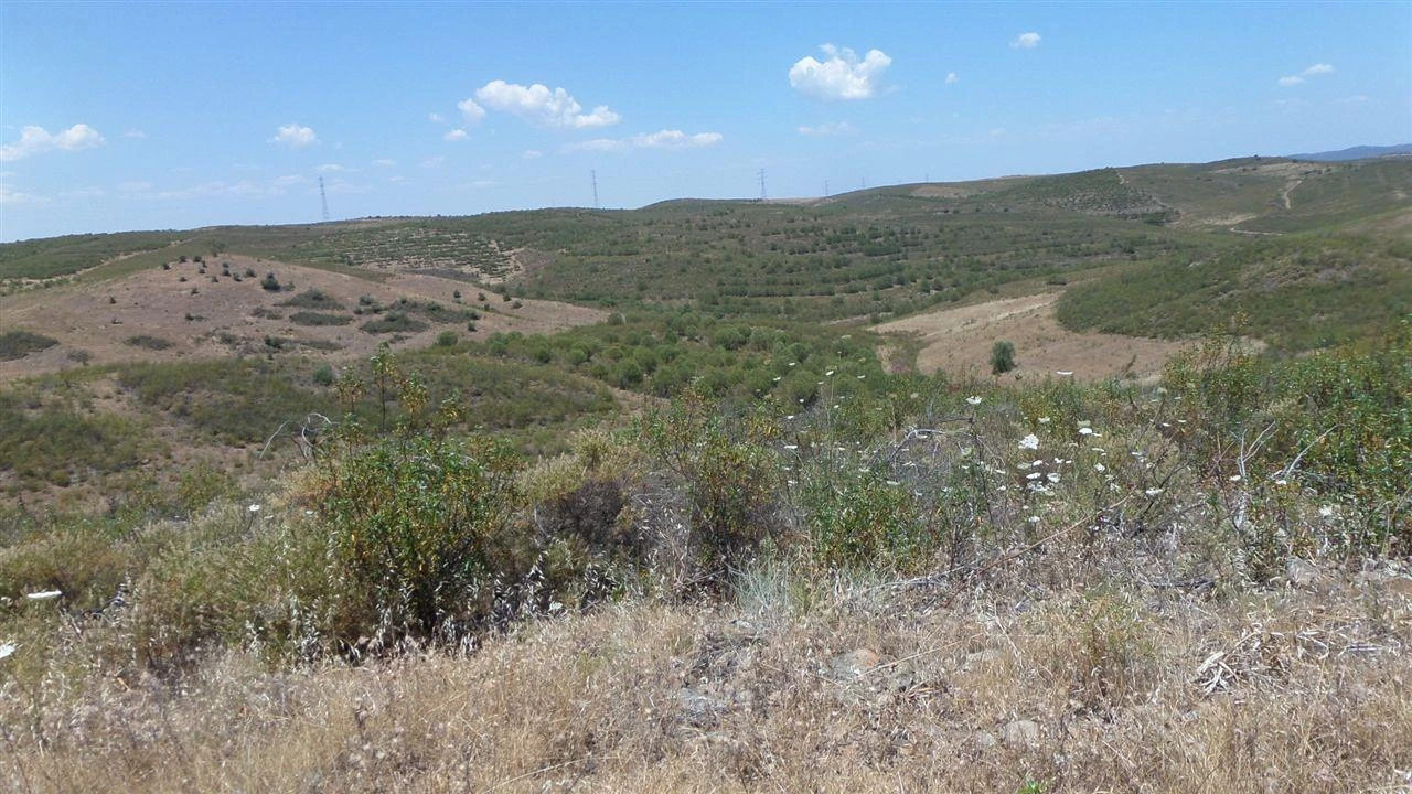 Terreno Agricola ou Rústico para Venda em Alcoutim e Pereiro Foto 6