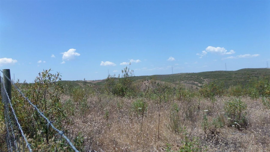Terreno Agricola ou Rústico para Venda em Alcoutim e Pereiro Foto 5