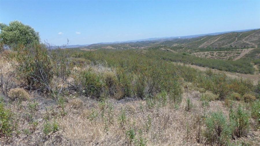 Terreno Agricola ou Rústico para Venda em Alcoutim e Pereiro Foto 2