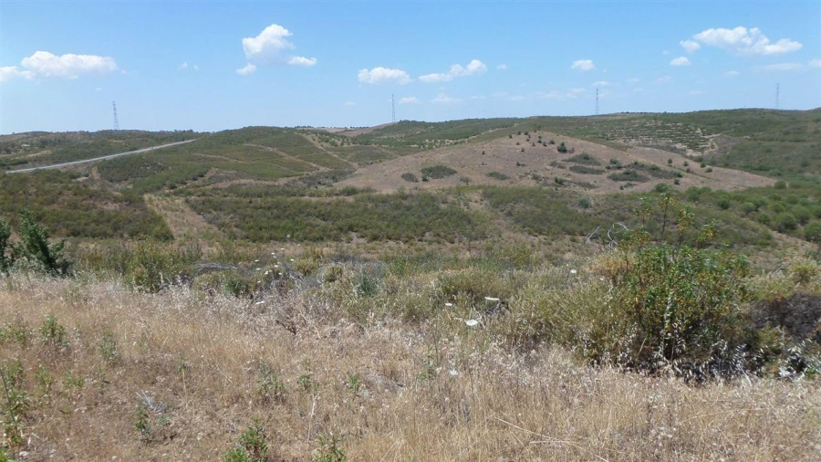 Terreno Agricola ou Rústico para Venda em Alcoutim e Pereiro Foto 12